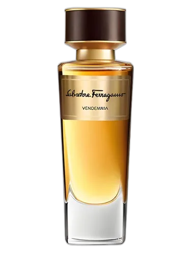 Salvatore Ferragamo Vendemmia