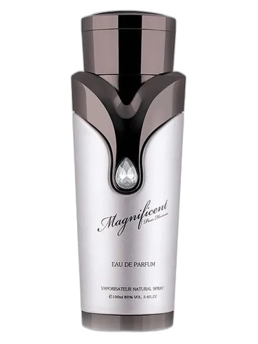 Armaf Magnificent Pour Homme