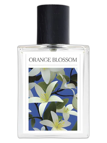 The 7 Virtues Orange Blossom