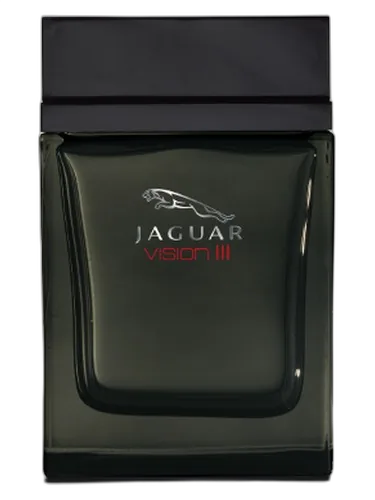 Jaguar Jaguar Vision III