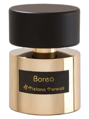 Tiziana Terenzi Borea