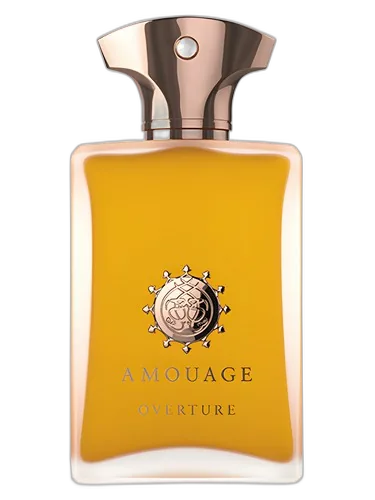 Amouage Overture Man
