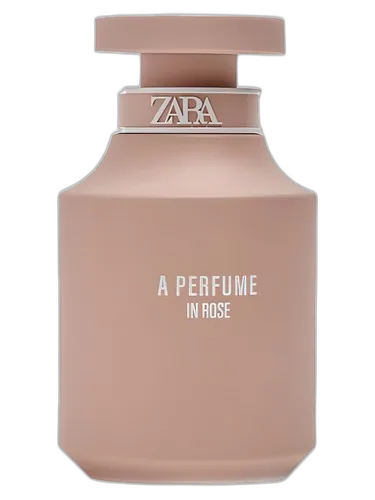 Zara A Perfume In Rose