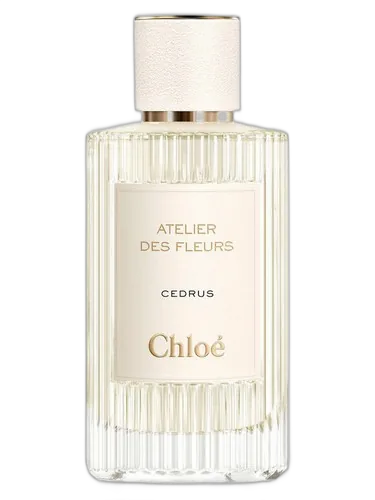 Chloé Cedrus