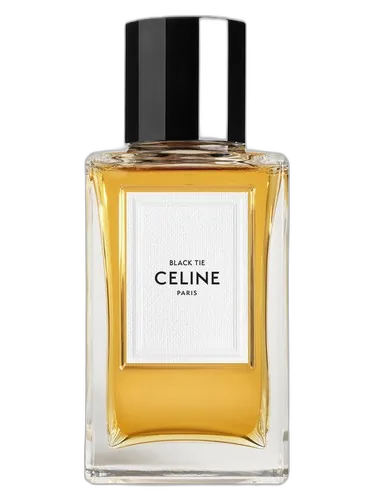 Celine Black Tie