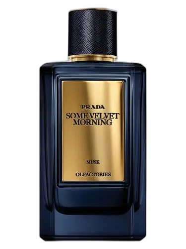 Prada Mirages Some Velvet Morning