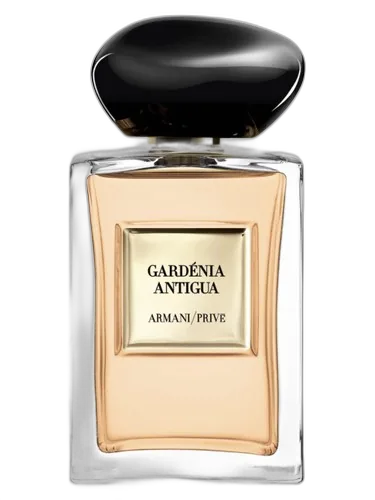 Giorgio Armani Gardénia Antigua