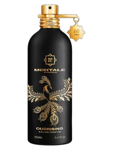 Montale Oudrising
