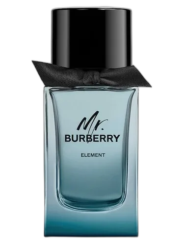 Burberry Mr. Burberry Element