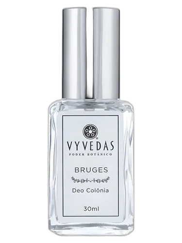 Vyvedas Bruges