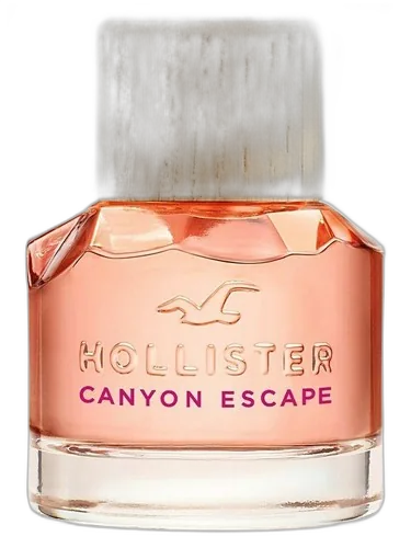 Hollister Hollister Canyon Escape Woman