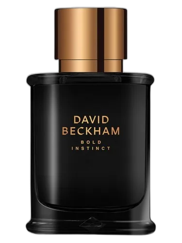 David Beckham Bold Instinct