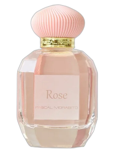 Pascal Morabito Sultan Rose