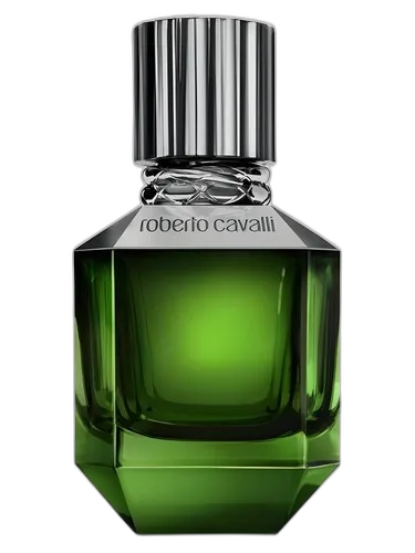 Roberto Cavalli Paradise Found