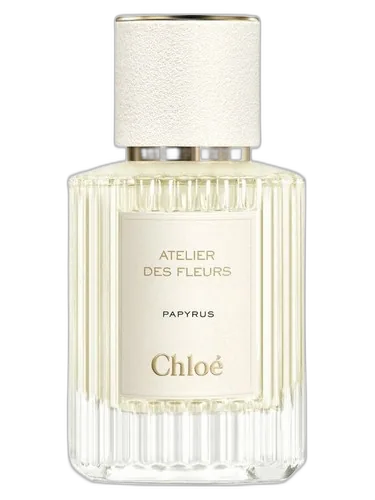 Chloé Papyrus