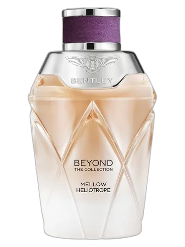 Bentley Mellow Heliotrope