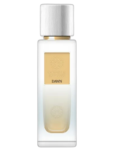 The Woods Collection Dawn