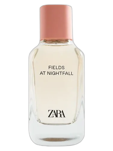 Zara Fields at Nightfall 2020