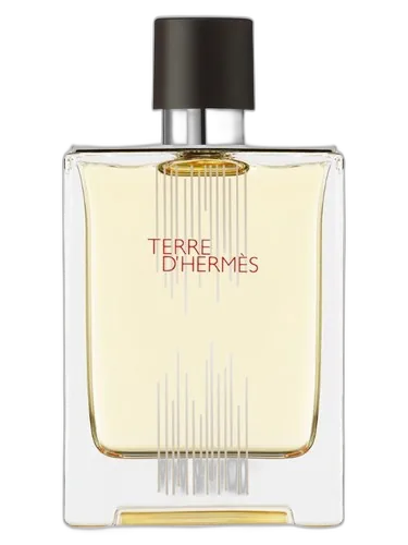 Hermès Terre d'Hermes Flacon H 2021 Eau de Toilette