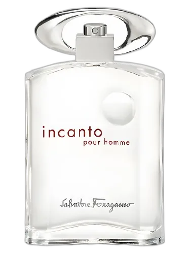 Salvatore Ferragamo Incanto Pour Homme