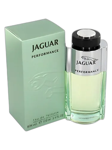 Jaguar Jaguar Performance