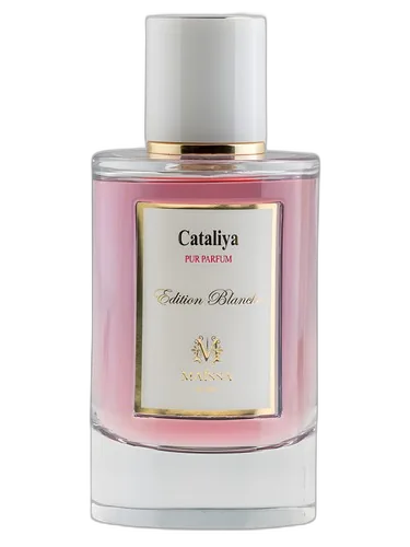 Maïssa Parfums Cataliya