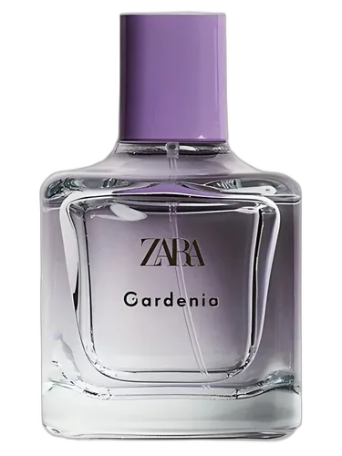 Zara Gardenia