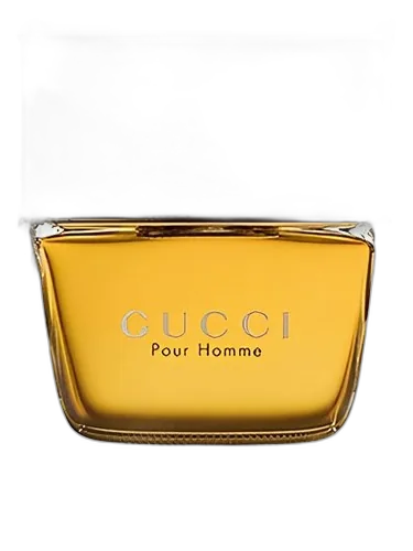 Gucci Gucci pour Homme (2003)