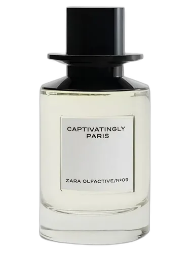 Zara Captivatingly Paris