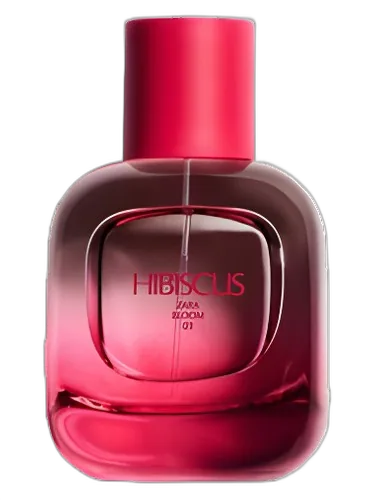 Zara Hibiscus