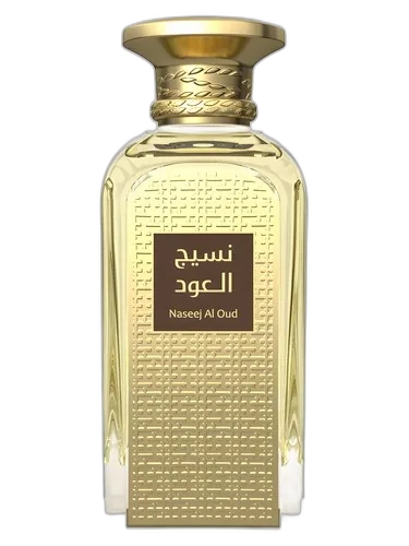 Afnan Naseej Al Oud