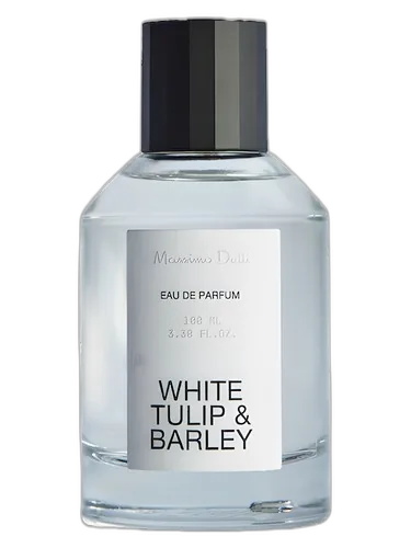 Massimo Dutti White Tulip & Barley