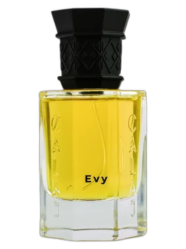 Calaj EVY