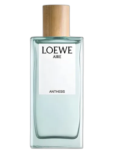 Loewe Aire Anthesis