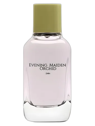 Zara Evening Maiden Orchid