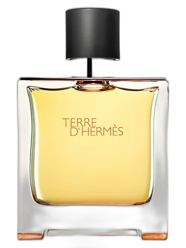 Hermès Terre d'Hermes Parfum