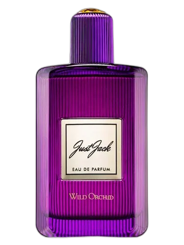 Just Jack Wild Orchid