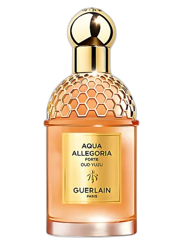 Guerlain Aqua Allegoria Forte Oud Yuzu