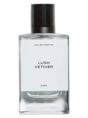 Zara Lush Vetiver