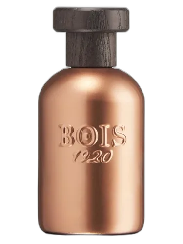 Bois 1920 Astratto