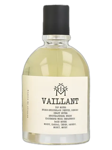 Moudon Vaillant