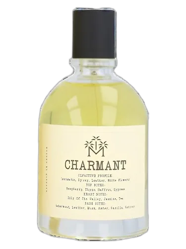 Moudon Charmant