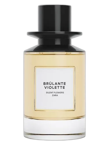 Zara Brulante Violette