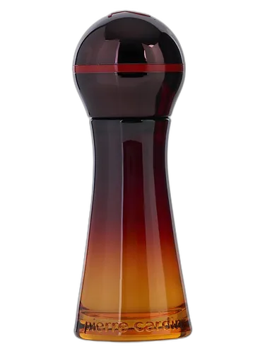 Pierre Cardin Fusion