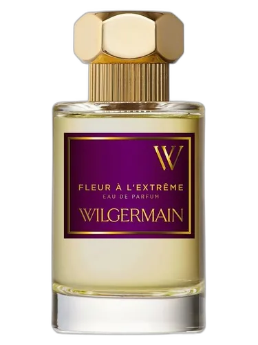 Wilgermain Fleur à l'Extrême