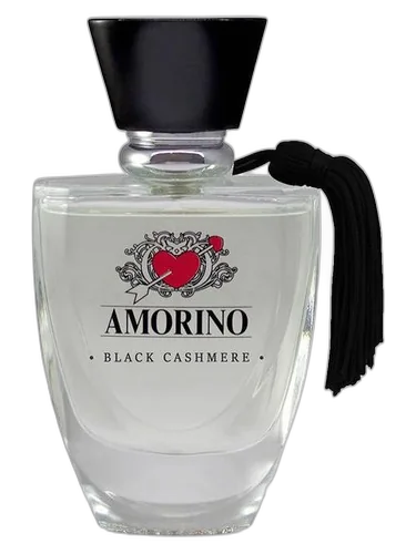 AMORINO Black Cashmere