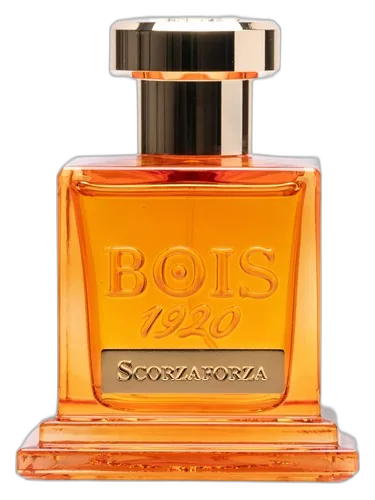 Bois 1920 Scorzaforza