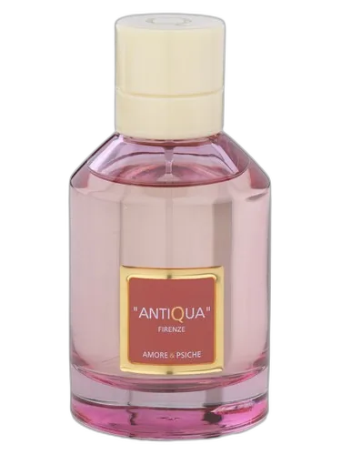 Antiqua Firenze Amore & Psiche