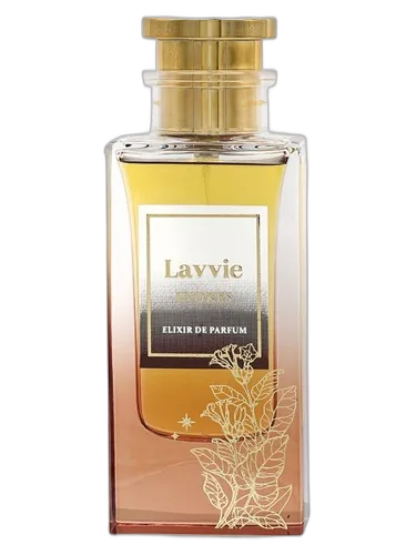 LAVVIE PERFUMES EVOKES