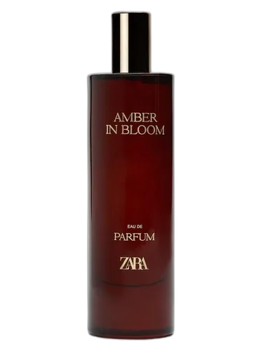 Zara Amber In Bloom